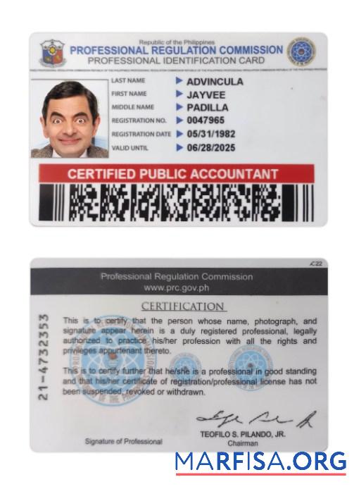 Downloadable Philippines Professional ID Card sample